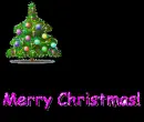 Merry Christmas!