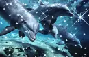 dolphins