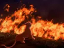 kiara escaping fire