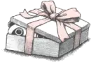 Panda in  a presentbox