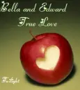 edward and bella