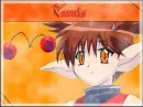 taruto
