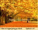 Thanksgiving