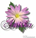 Amisha
