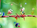 Olimar, Louie, and Pikmin