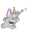 nita new year elephant