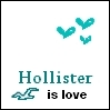 Hollister Baybuh