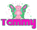 Tammy