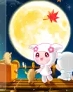 admiring the moon on an autumn night