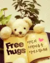 cute kawaii free hugs teddy bear
