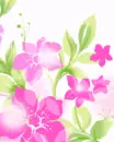 cute kawaii flowers