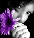purpil flower