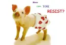 how can you RESIST??