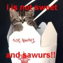 im not sweet and sawurs