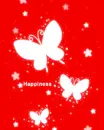 white butterflys