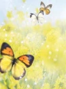 cute kawaii flowers with butterflies