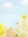cute kawaii flowers 