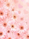 cute kawaii flowers 