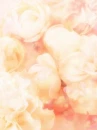 cute kawaii flowers