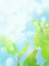 cute kawaii flowers