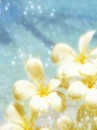 cute kawaii flowers