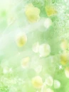 cute kawaii flowers