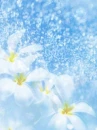 cute kawaii flowers