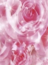 cute kawaii flowers