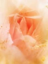 cute kawaii flowers