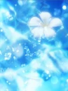 cute kawaii flowers