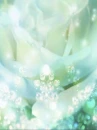 cute kawaii flowers
