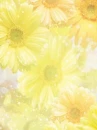 cute kawaii flowers
