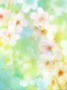 cute kawaii flowers