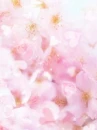 cute kawaii flowers