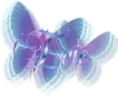 Name 