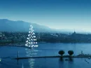 Christmas tree on the water