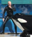 Ken Peters and Kasatka