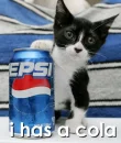 kiitty pepsi