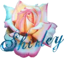 Shirley