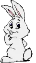 Bunny thinking!