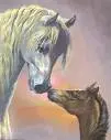 Horses kissing