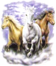 3 horses