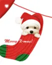 MERRY XMAS