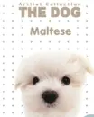 MALTESE
