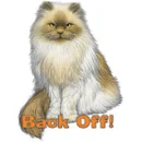 Back off