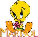 Marisol