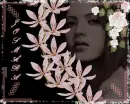 FLORES BELAS 