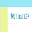 What?