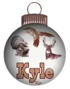 Kyle