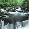 waterfall